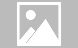 四川网页设计师周记（网页设计周记26篇300字）